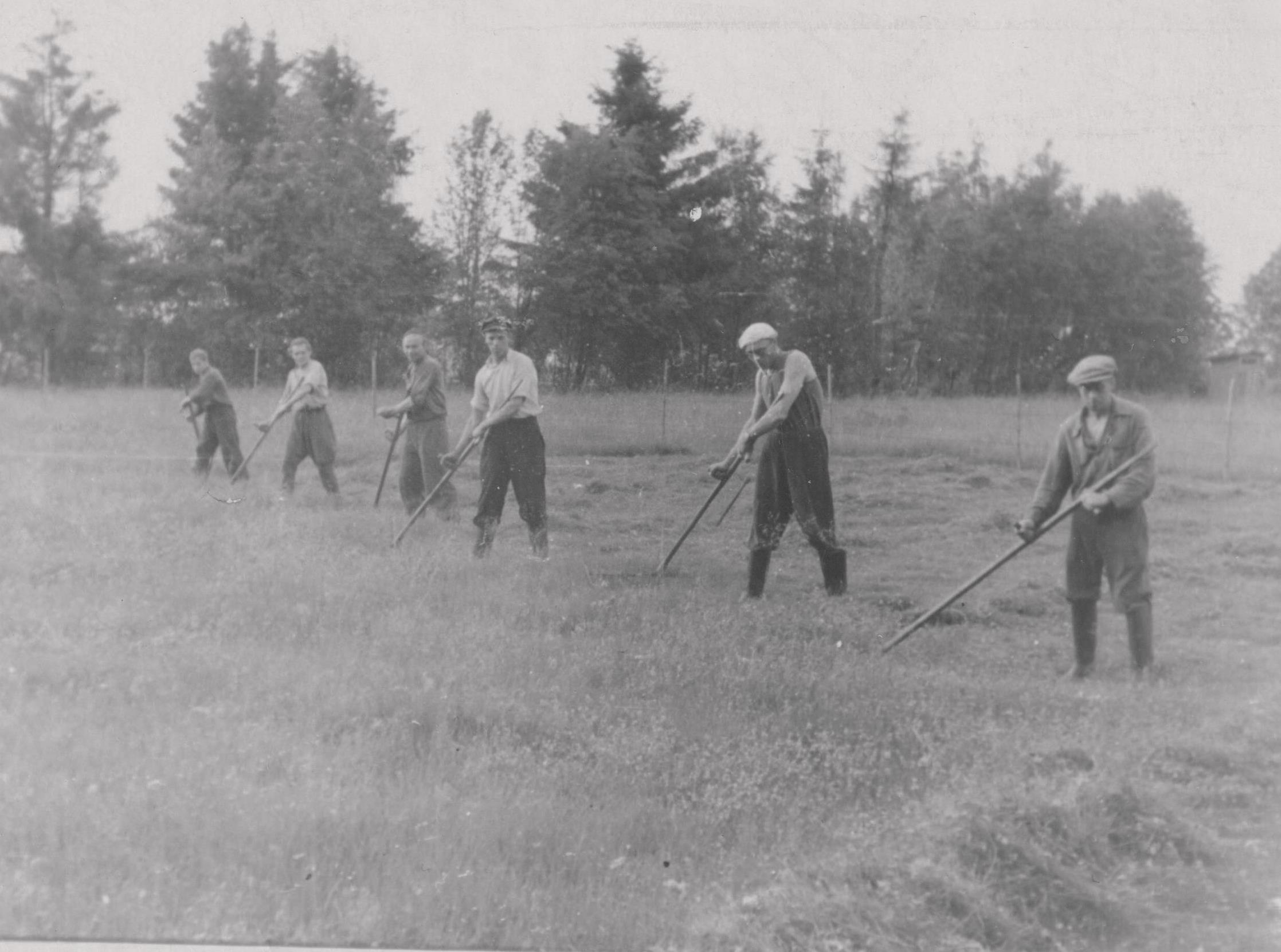 Külamehed ühiselt heina niitmas 1960ndatel.