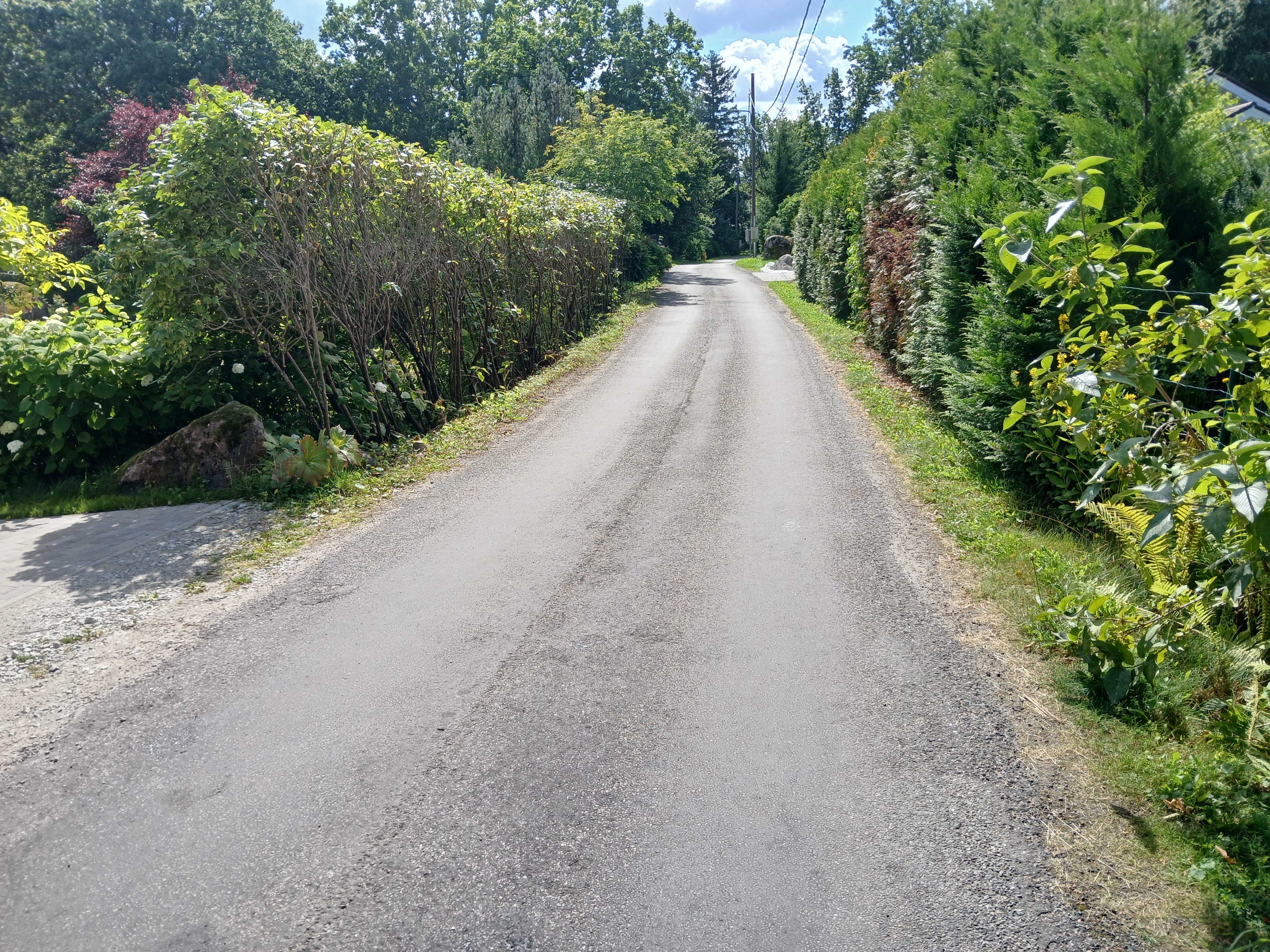 Suurekivi tee pärast haljastuse hooldust