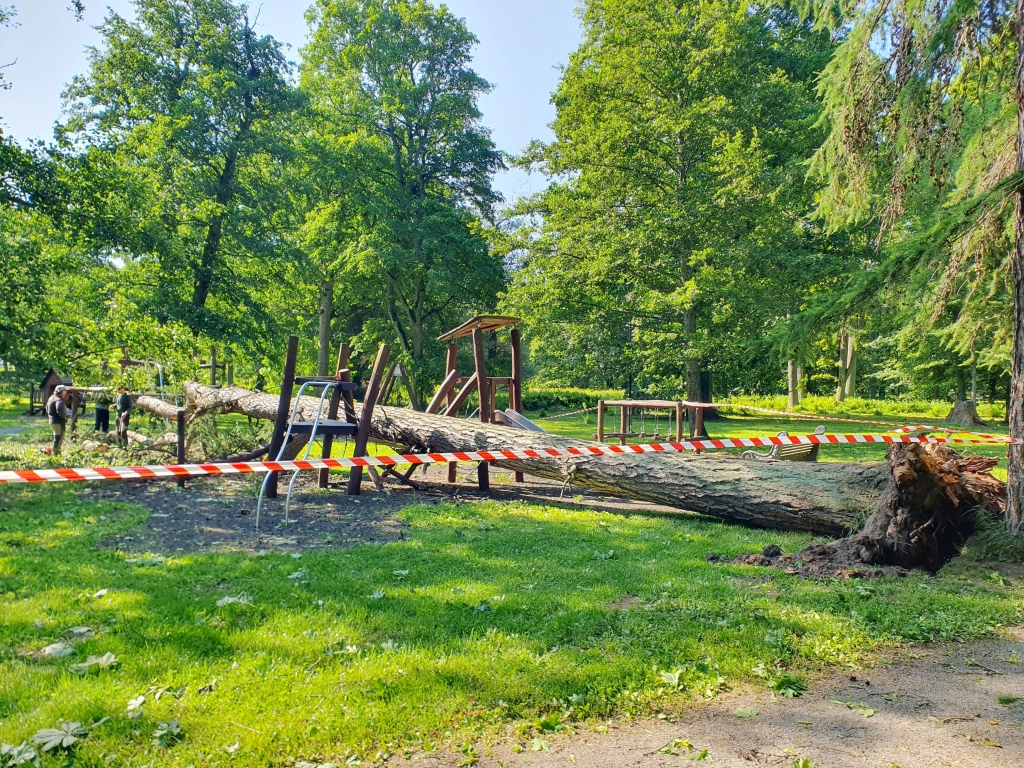 Tänavu suvel tekitas torm mõisa pargis palju kahju.