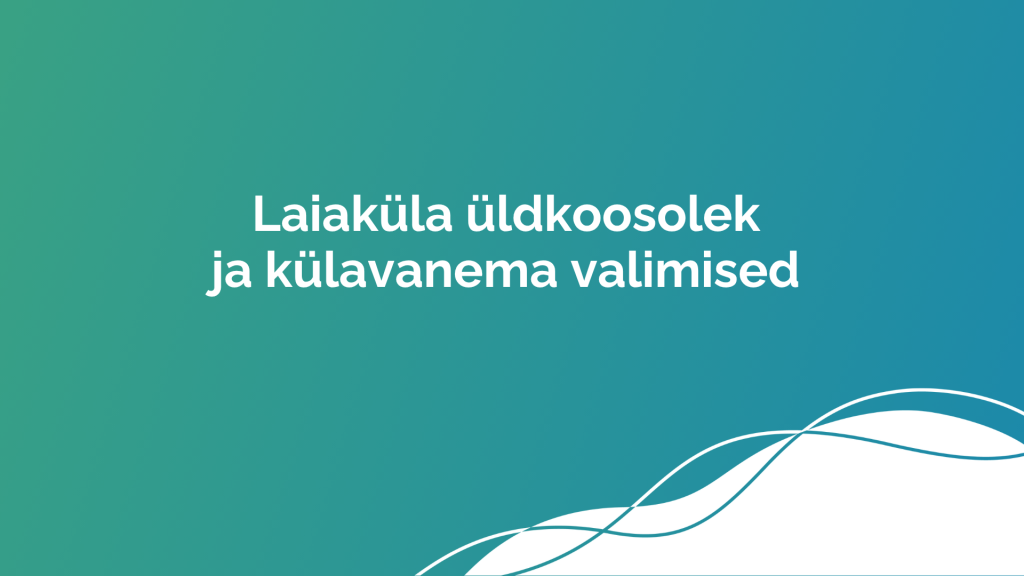 Külavanema valimised_Laiaküla25.png