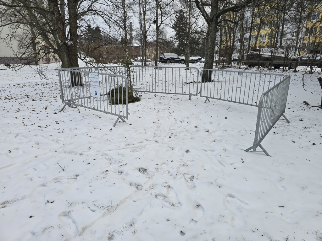 Kuuskede kogumine.jpg