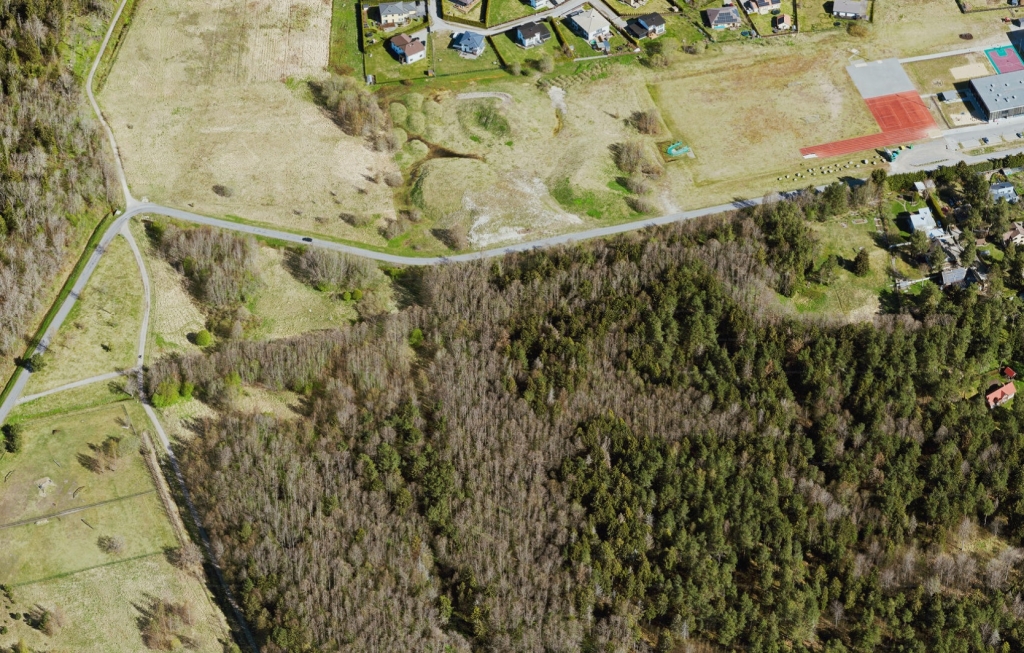 Vaade projekti pilootalale