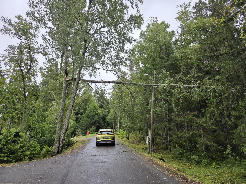 Torm 23. augustil